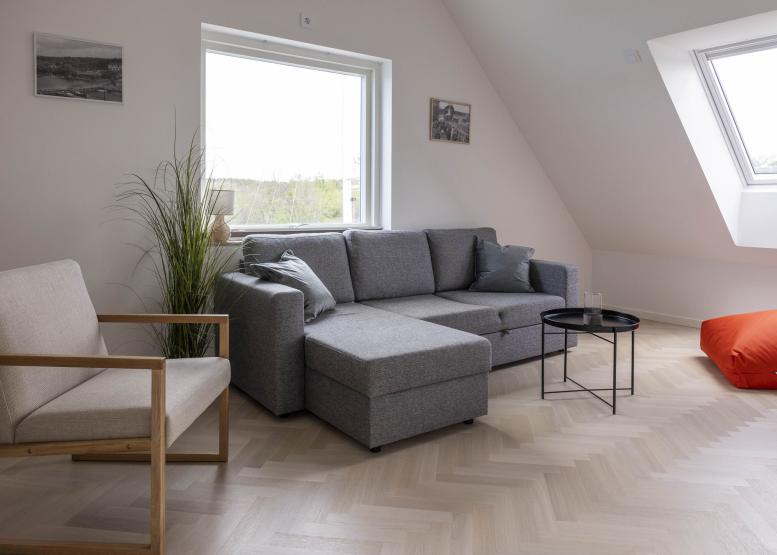 Allrum med bäddsoffa och fåtölj